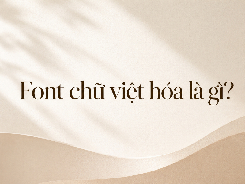 Font chữ Việt hóa là gì?